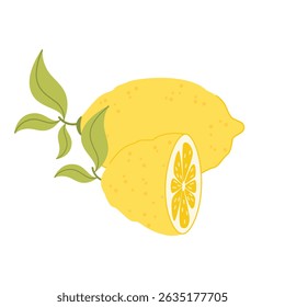 Large lemon, half a lemon. Citrus icon. Vector illustration in flat style.
