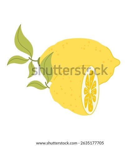 Large lemon, half a lemon. Citrus icon. Vector illustration in flat style.