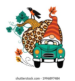 
Large leopard pumpkin, crow and  gnome on a turquoise car. Fall decor. Vector design. Cartoon illustration.