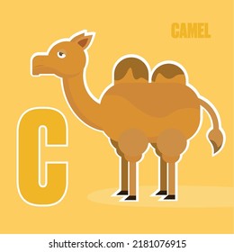 Large letter C of the English alphabet. Children's illustration of an educational poster for children. Games for the little ones. Drawing of a camel. C is for camel.