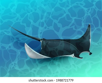 A large Manta ray flying underwater over the sea floor.