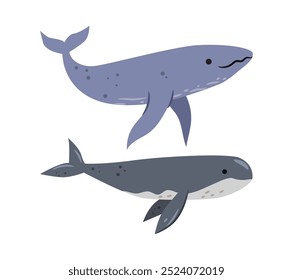 Large marine mammal, isolated set of whales. Vector filter feeders underwater animals dwellers. Ocean creature or cetacean with thick layer of blubber. Giant of sea with tail fin and blowhole