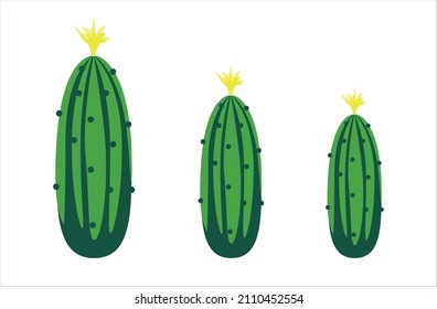 large medium and small cucumbers. Vector image of a cucumber on a white background. Vegan, vegetarian set of icons with vegetables. 