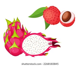 A large mega-set of tropical fruits in a juicy cartoon style. The concept of healthy food and products. A bright element for your design.