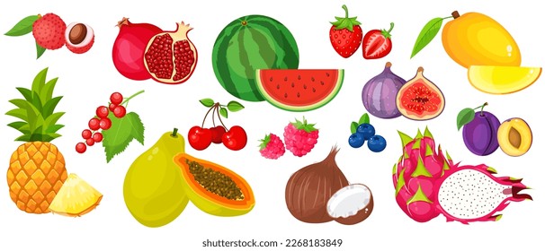 A large mega-set of tropical fruits in a juicy cartoon style. The concept of healthy food and products. A bright element for your design.