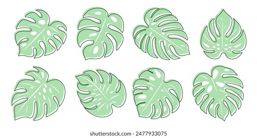 Large monstera leaves. Set of exotic leaves and strokes. Vector elements to use in various projects.
