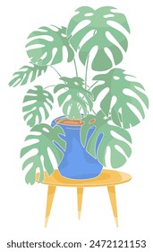 large monstera in a pot on a wooden table