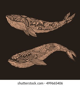 Large multicolored whale on a blue water background. An adult whale painted by hand in the art of different strokes, curls. Whale zentangle style. Vector. The sad whale. Most sea, ocean fish, mammals.