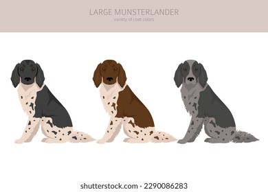 Large Munsterlander clipart. Different coat colors set.  Vector illustration