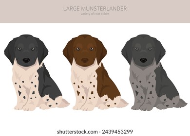 Large Munsterlander puppy clipart. Different coat colors set.  Vector illustration