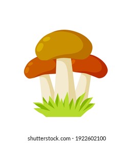 Large mushroom with a brown cap. Natural cep. Food ingredient. Autumn harvest with green grass. Flat cartoon illustration