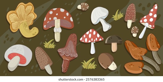 Large Mushroom set of vector illustrations in flat design isolated on white.