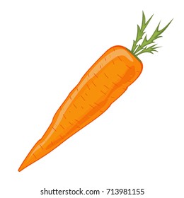 Large orange cartoon carrot. Vector illustration. Isolated on white background.