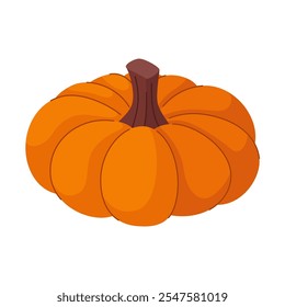 Large orange ripe pumpkin. Autumn harvest for Thanksgiving. Isolated single object on white background.