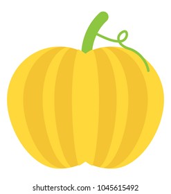 A large orange or yellow fruit. Pumpkin fruit but often referred to as vegetables