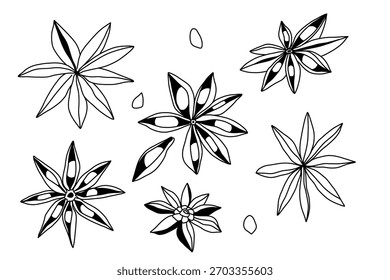 Grande conjunto de especias lineales, anís estrellado con semillas en negro sobre un fondo blanco