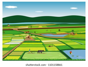 large paddy field vector design svg