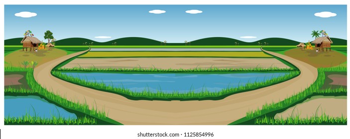 large paddy field vector design