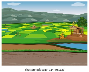 large paddy field vector design
