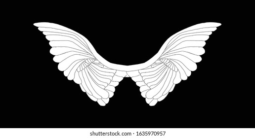 A large pair of white angelic wings spread over a black background
