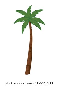 large palm design over white