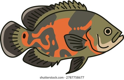 Large patterned oscar cichlid fish illustration