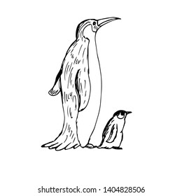 A large penguin and a small cute penguin. Vector illustration.