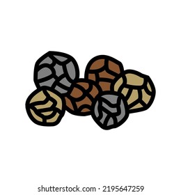vector de icono de color de pimienta grande. gran señal de pimienta. ilustración de símbolo aislado