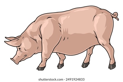 Large pig detailed sticker colorful with piglet sniffing ground in search of food given by farmer vector illustration