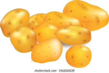 A large pile of golden potatoes