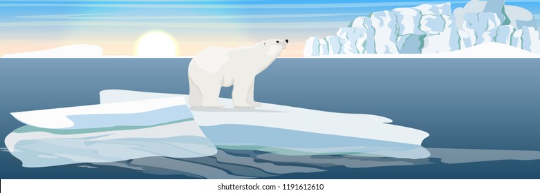 Large polar bear on an ice floe drifting in a cold northern ocean. The glacier and the snow-covered plains and the cold blue sea. Landscapes of the Antarctic.