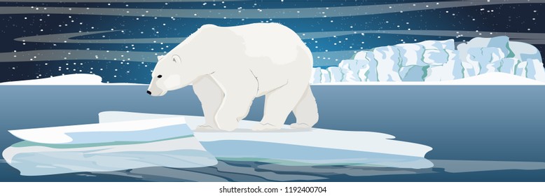 Un oso polar grande sobre una capa de hielo se desliza en un frío océano norte. El glaciar y las llanuras cubiertas de nieve y el mar azul frío. Noche estrellada en el norte. Paisajes del Ártico.