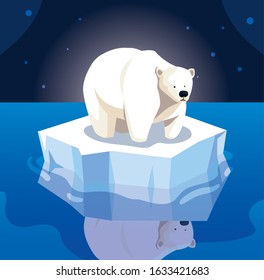 large polar bear on an ice floe drifting vector illustration design