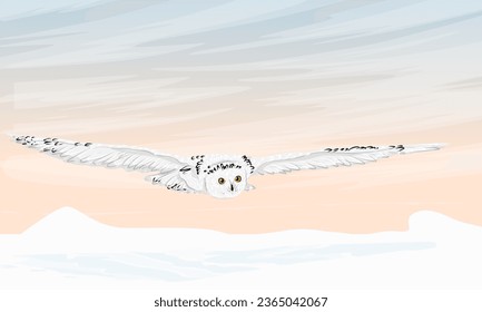 A large polar owl flies over a snowy plain. Wild birds of the Arctic. Realistic vector landscape