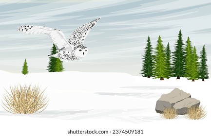 A large polar owl flies over a snowy plain and lonely spruce trees. Wild birds of the Arctic. Realistic vector landscape