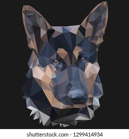  large portrait of German shepherd low poly isolated on gray background