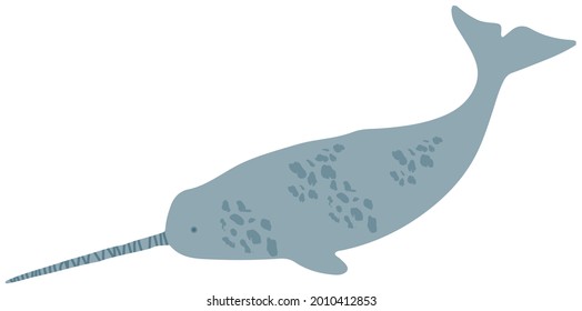 Large predatory marine mammal, whale with long horn. Predatory animal living in ocean. Narwhal whale isolated on white background. Narwhal, unicorn-fish, dangerous ocean mammal vector illustration