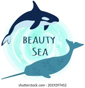 Large predatory marine mammals, whale, narwhal. Predatory animals living in ocean swimming around inscription. Wild animals, ocean mammals. Killer whale and narwhal in sea vector illustration