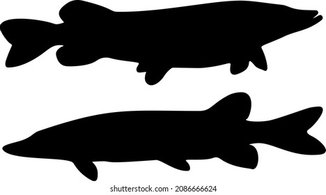 Large predatory pikes. Vector image.