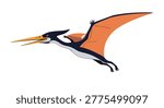 Large prehistoric pteranodon flying with wings outstretched against a white background for educational or scientific projects.