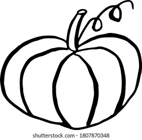 Una gran calabaza dibujada por el contorno. La calabaza es el fruto del otoño.