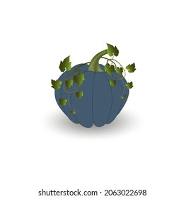 A large pumpkin with green leaves and a shadow on a white background. Vector image.