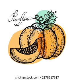 Large pumpkin and leaves, hand-drawn doodle in sketch style. Autumn Vegetable. Piece of pumpkin. Abstract spots in bright orange and handwritten text. A symbol of Halloween and Thanksgiving.