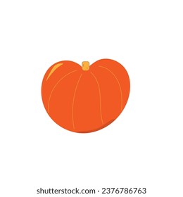 large large pumpkin on a white background