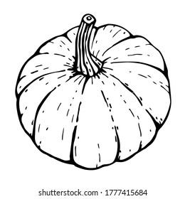 Calabaza grande. Ilustración vectorial de un contorno dibujado a mano sobre un fondo blanco, Doodle.