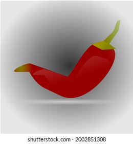 Large red chilli vector image