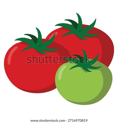 Large red and green tomatoes isolated vector illustration on white background