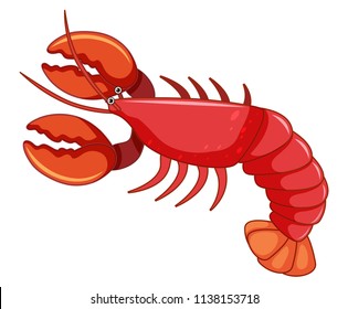 A large red lobster illustration