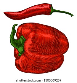 Large red pepper and small chili with green sprigs on a white background. Freehand drawing.