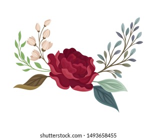 Large rose on a branch with leaves. Vector illustration on a white background.